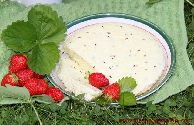 Midsummer treats: caraway seed cheese