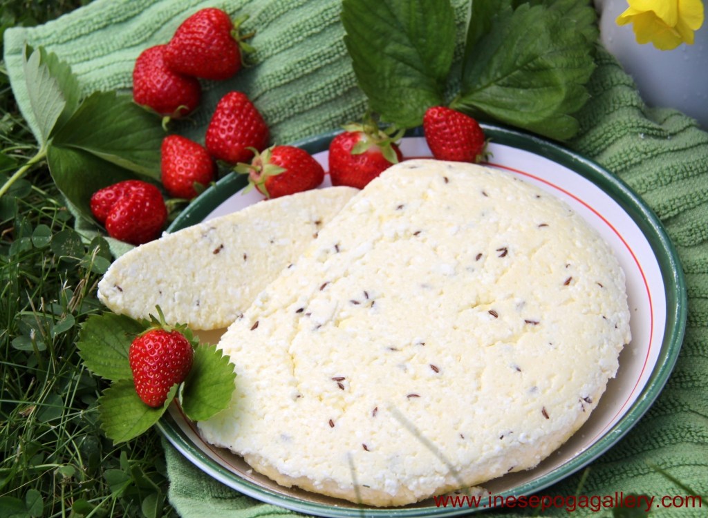 Latvian Midsummer caraway seed cheese