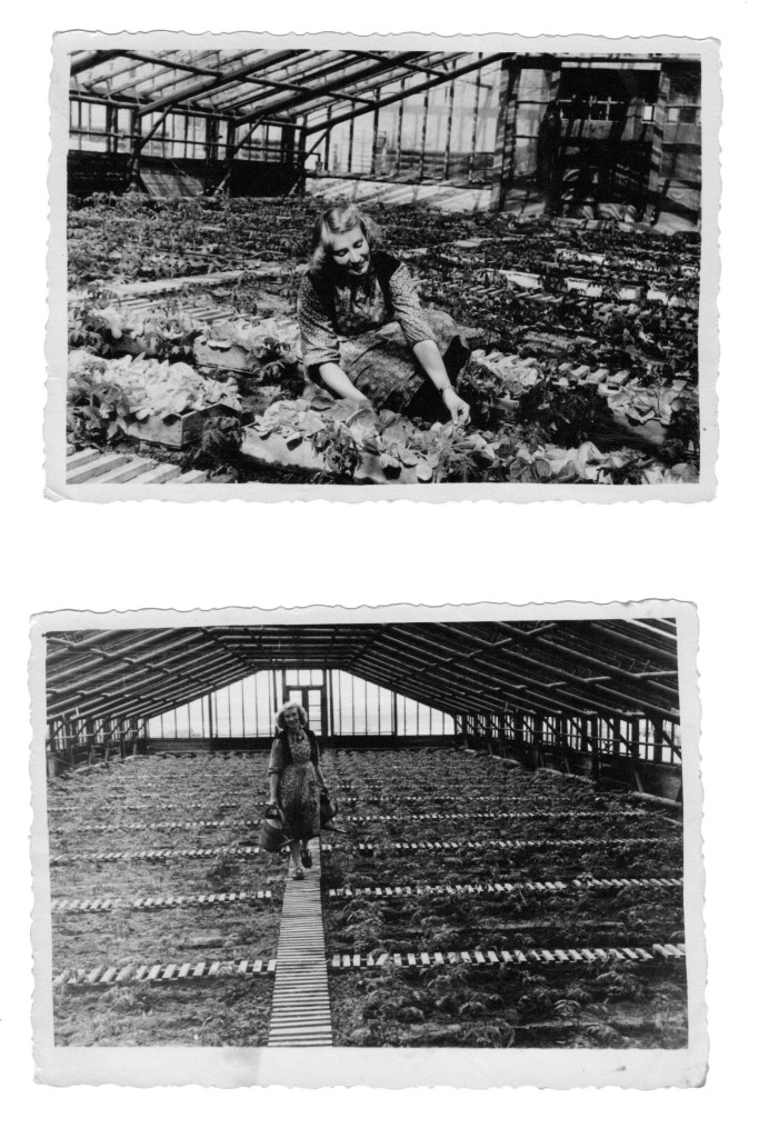 My mom working at greenhouses