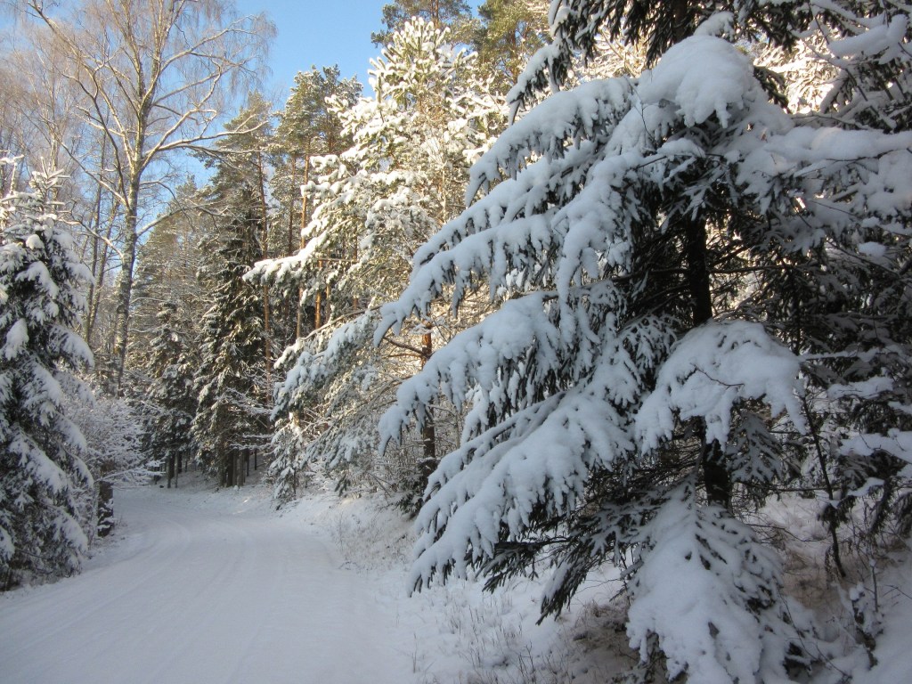Going home for Christmas