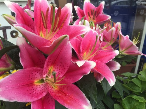 Celebrating feminine power: International Women’s Day 2019