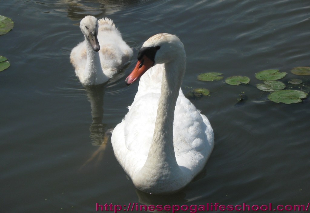 Universe does not call them errors