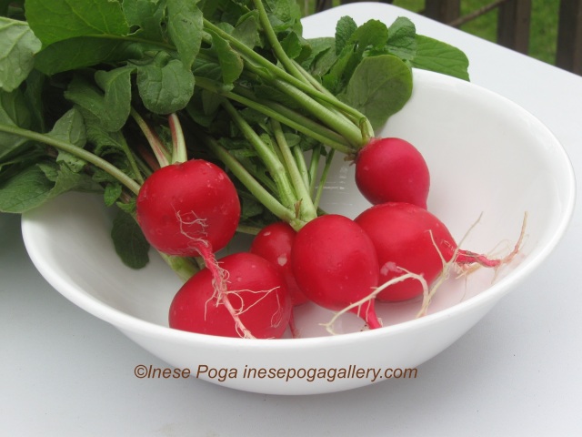 Love, grow and eat red radish