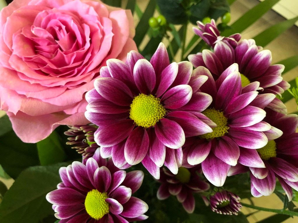 Celebrating Mother's Day