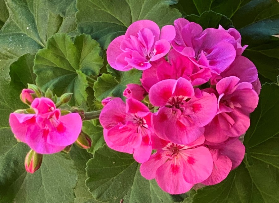 We are all interconnected in the universe.