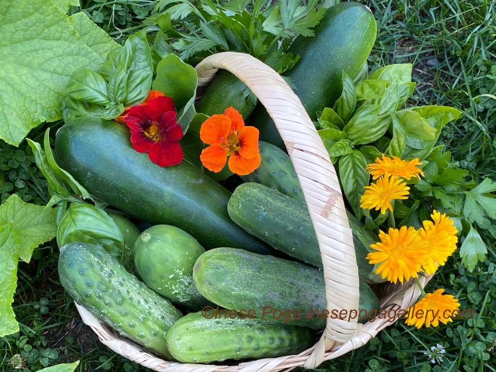 Lovely veggie basket