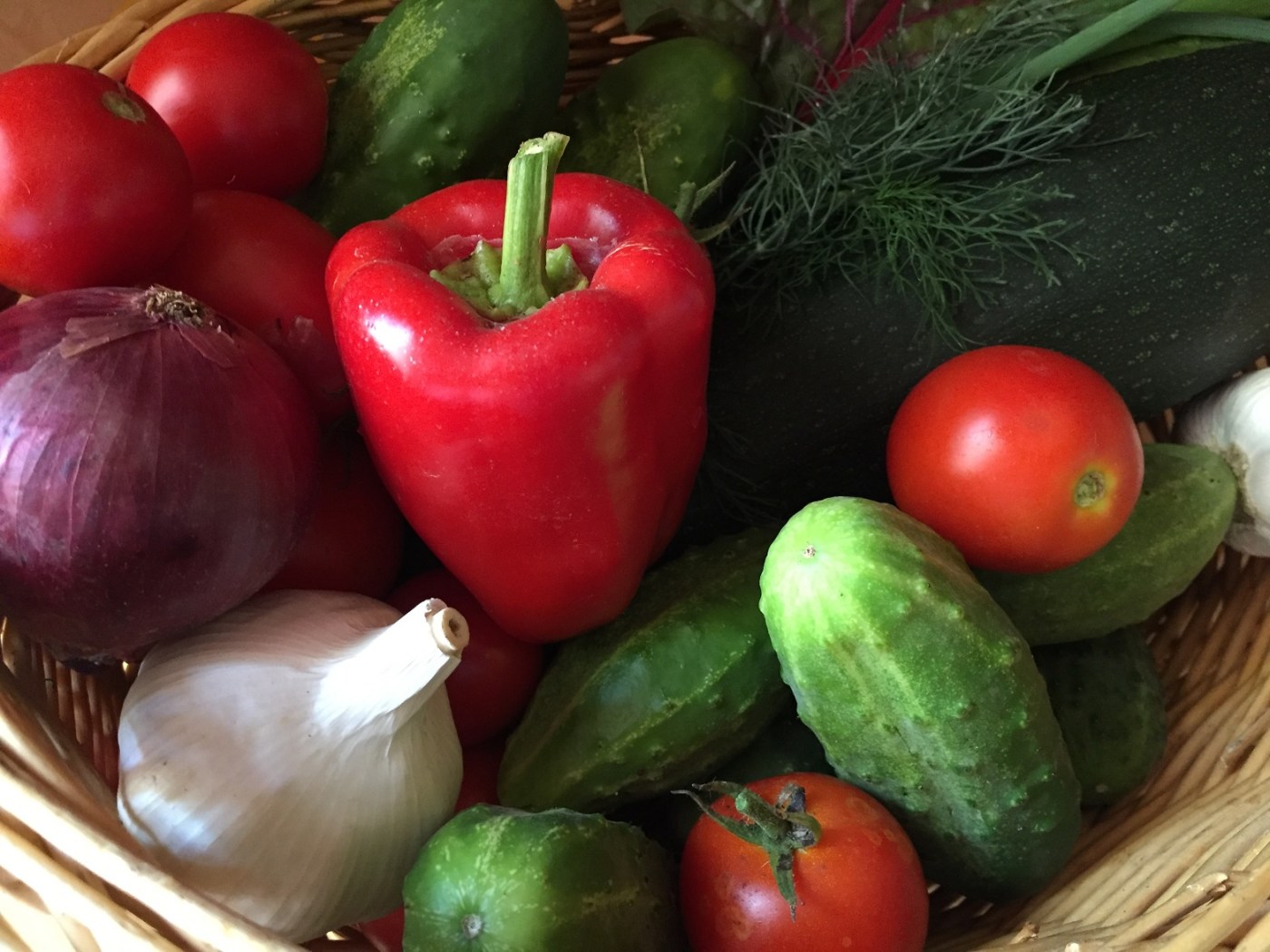 Vegetable garden harvest